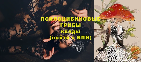 стафф Верея