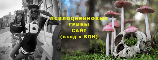 не бодяженный Верхний Тагил