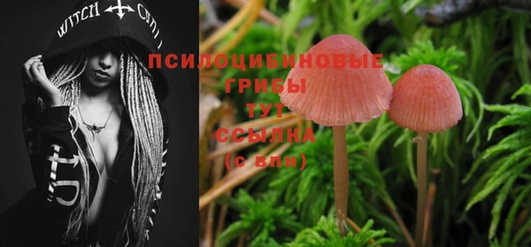 стафф Верея