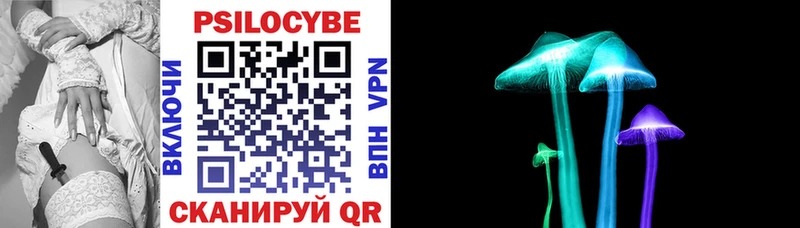 Галлюциногенные грибы Psilocybe наркота Вятские Поляны